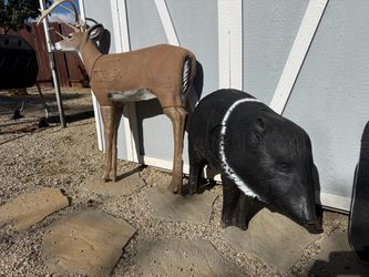 Buck – Javelina – box Archery target
