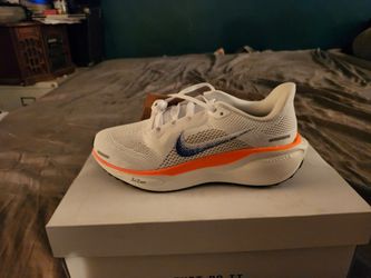 👟 Nike Air Zoom Pegasus 41 FP – Blueprint Pack