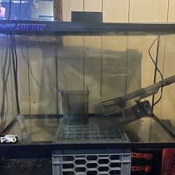 29 gallon fish tank