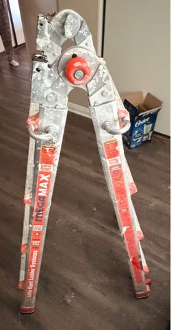 Lil giant ladder
