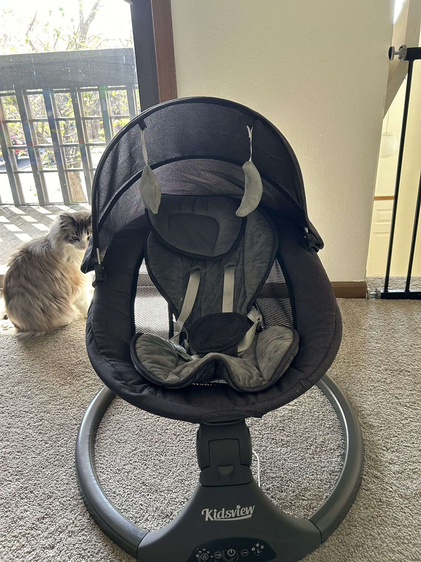 Kids View Baby Swing