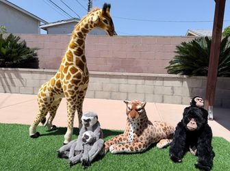 Safari animals
