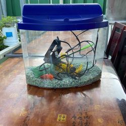 Small Fish Tank