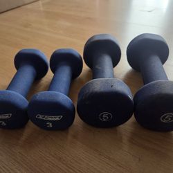 2 Sets Hand Weights