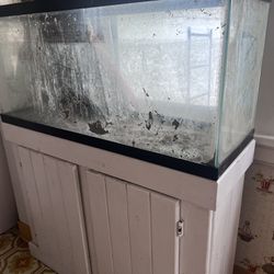 30 Gallon Aquarium Fish Tank 