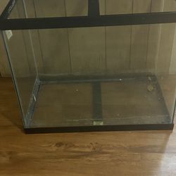 Aquarium 