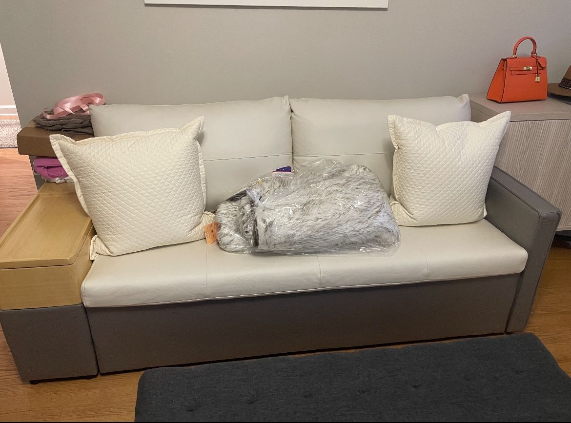 Pull Out Bed Couch