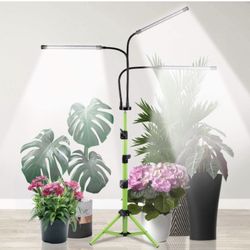 Grow Light