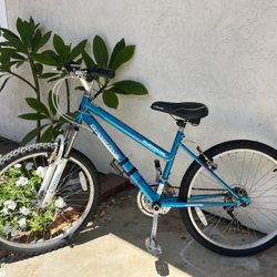 Roadmaster Granite Peak (Read Description)