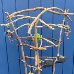 African Grey / Amazon Parrot Perch Tree…. Funky N Curvy … A Great Socializer!! 💯