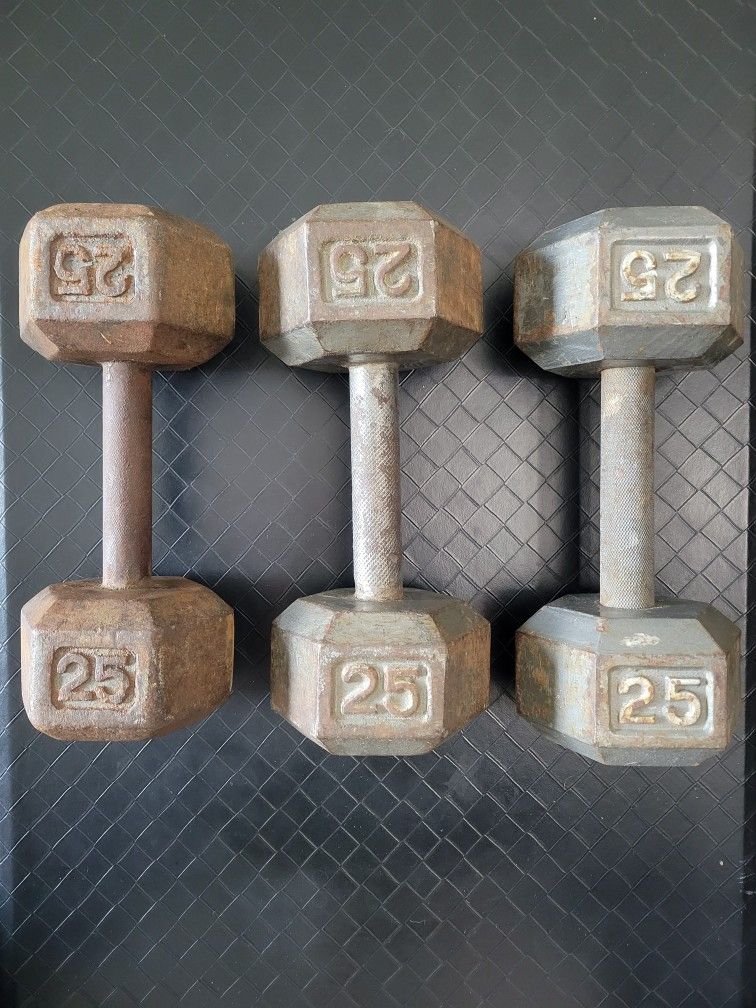 Dumbbells (25lbs Set)