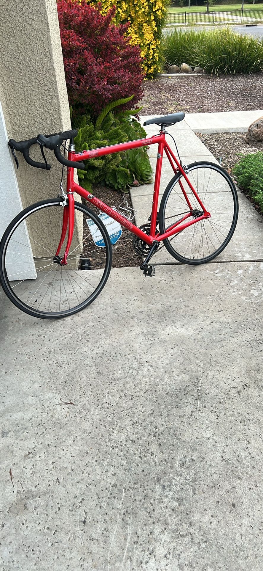 Road Bike