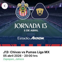 Chivas vs Pumas Estadio Akron