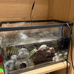 5 gallon fish tank with accessories