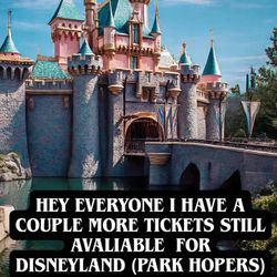 Disneyland Park Hoper Tixkets 
