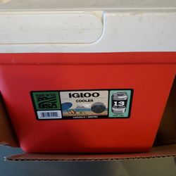 Igloo Cooler 