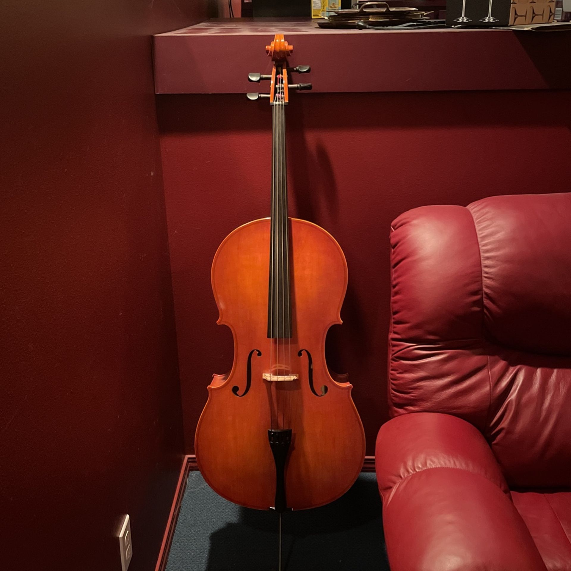 Eastman Strobel Cello 4/4
