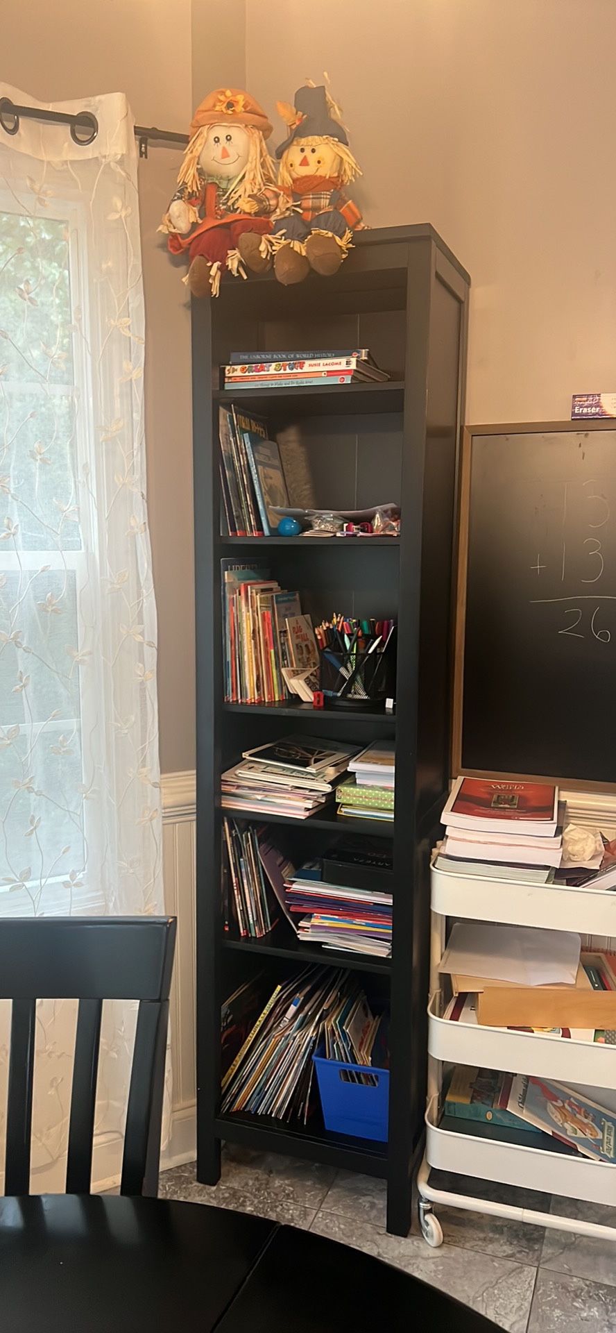Tall Skinny Bookshelf