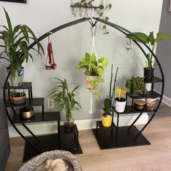 Half Moon Plant Stand 