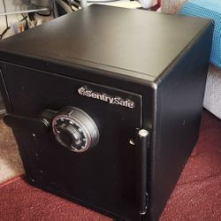 Sentry Safe