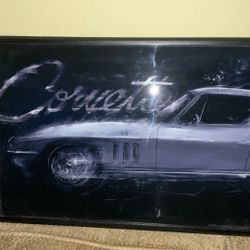 Framed Picture 