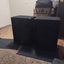 Radio Shack 12-in DJ Speakers