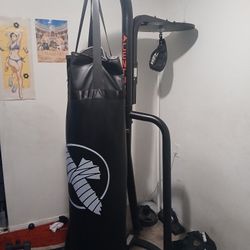 Hayabusa heavybag Century Stand Speedbag Platform With Ufc Speedbag 