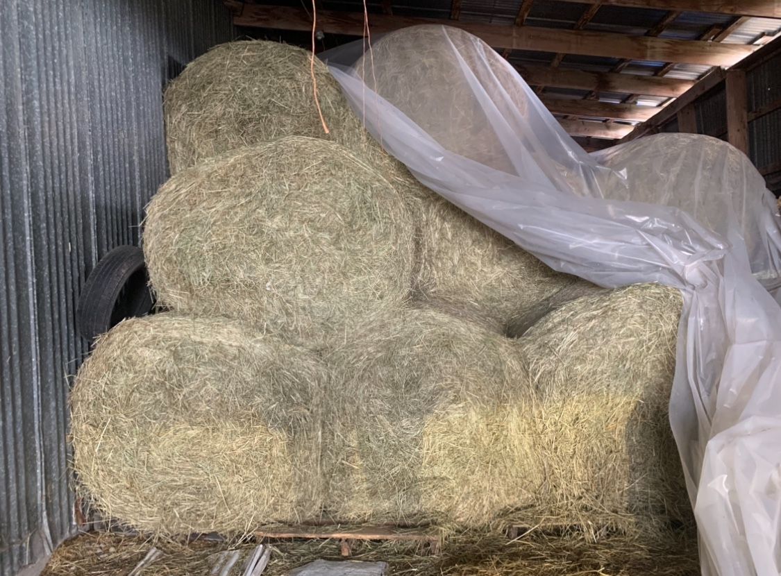 Dry Large Rounds 600 Lbs