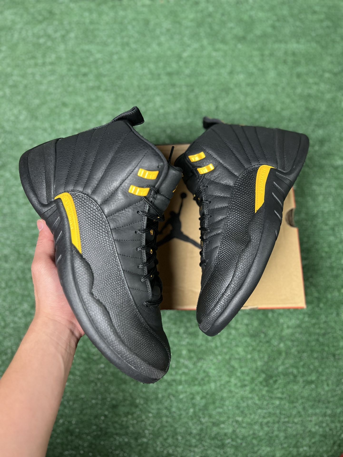 Jordan 12 Black Taxi Size 12