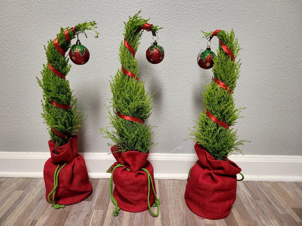 $7 Living Grinch Trees