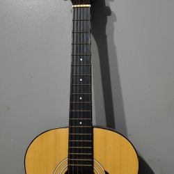 excel acoustic guitar