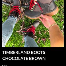 Brown Leather Boots Timberland 