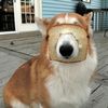 Jim 
