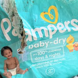 Swaddle Pampers 