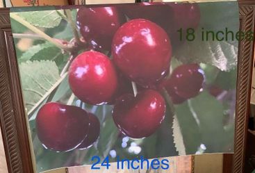 Cherries/cherry Photo