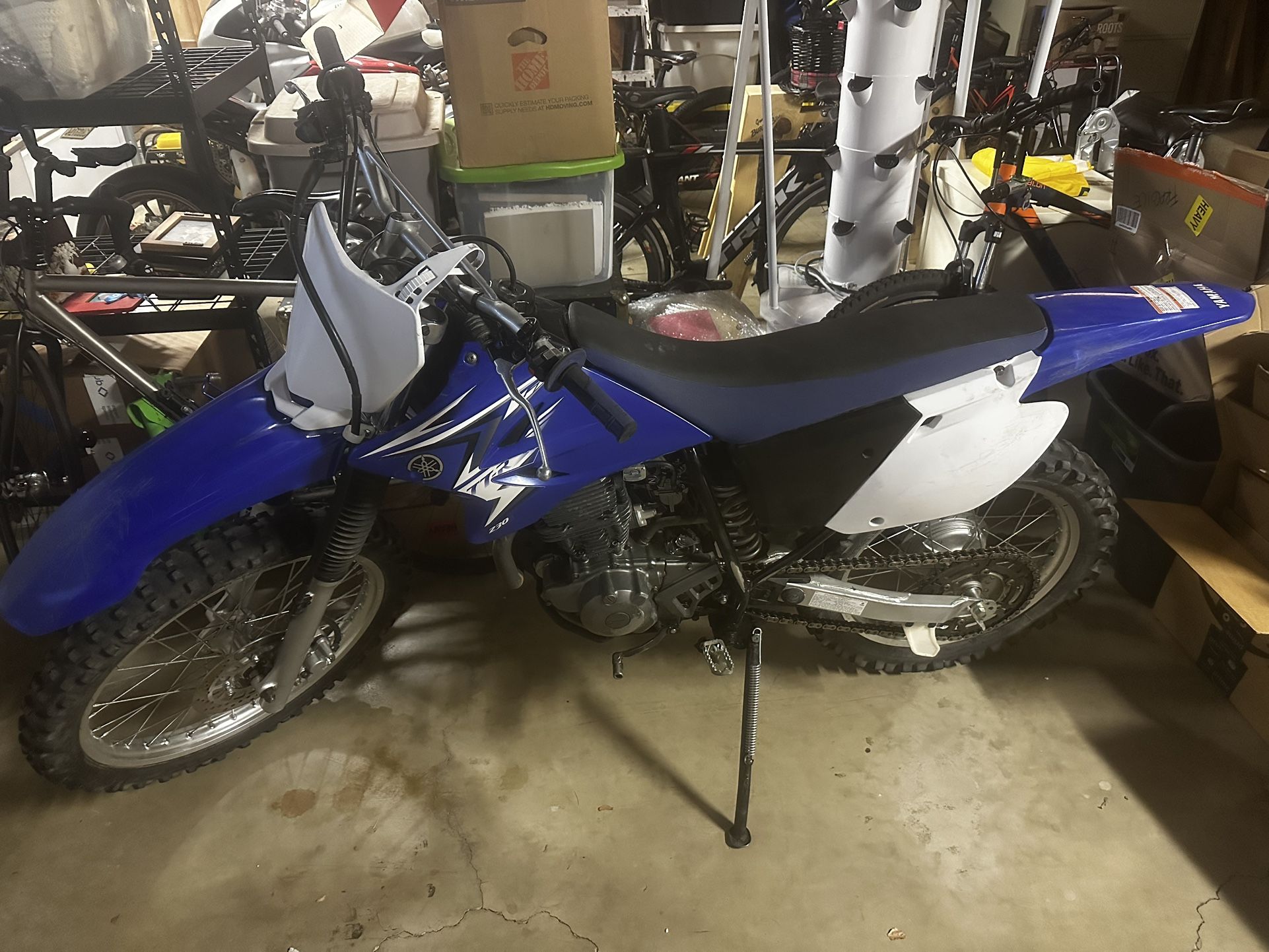 2009 Yamaha TTR 230