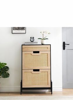 Two Shoe Cabinets