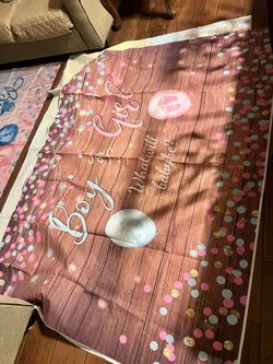 Gender Reveal Backdrop