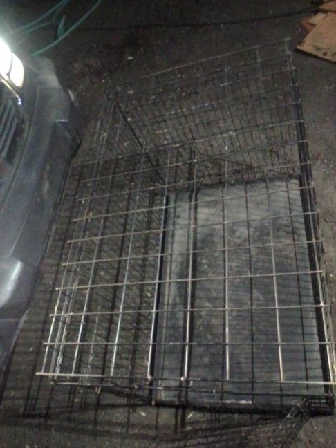 Big Dog Kennel