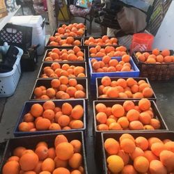 Naranja Y Limón Fresco
