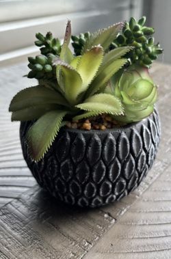 Artificial Succulent