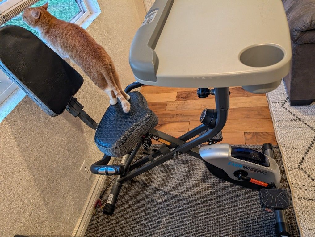 Exerwork Exercise Bike - Used