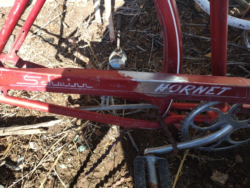 Schwinn Hornet Vintage Bike