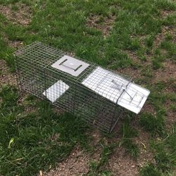 Live Animal Trap