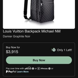 Luis Vuitton Backpack 