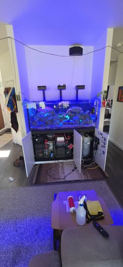 Red Sea Reefer 625xxl