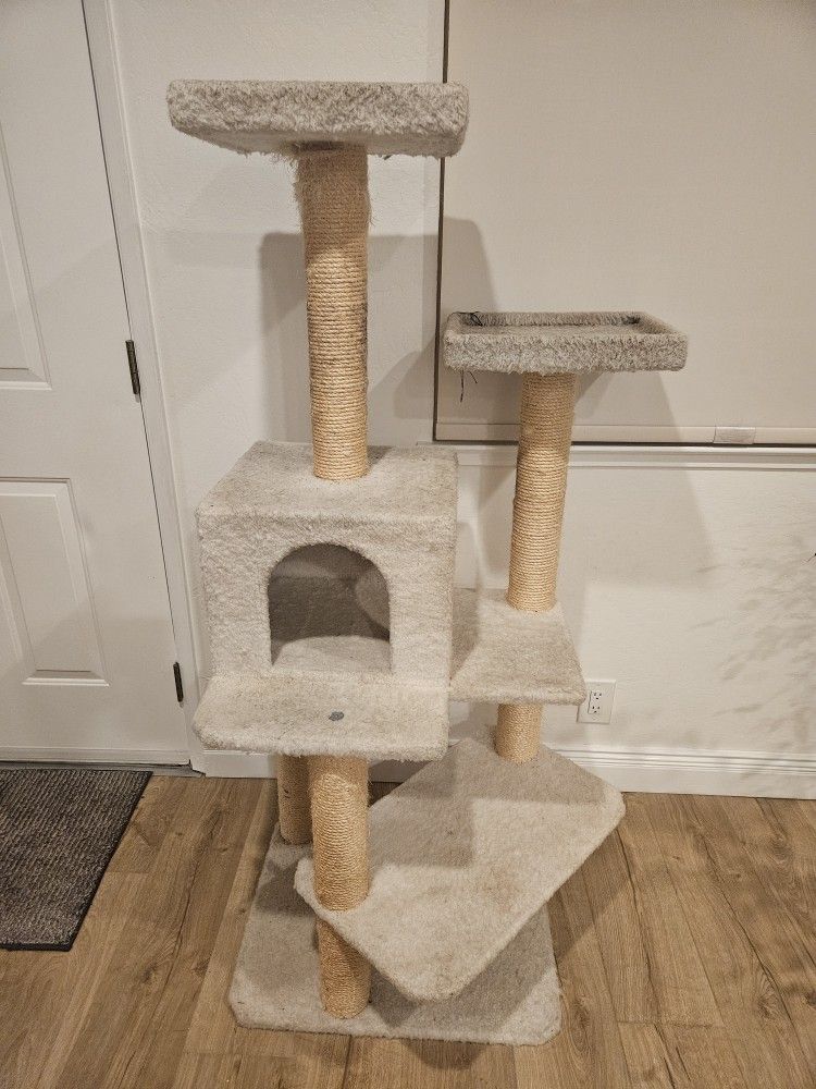 Free Cat Tree - 58" High
