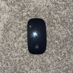 Apple Mouse 