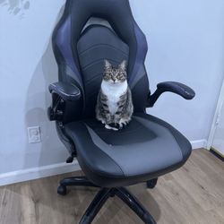 Emerge Gaming Chair – Fiona’s Favorite Seat (Pet Owners Welcome!)