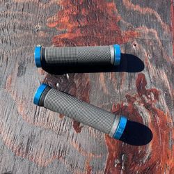 Bicycle Grips